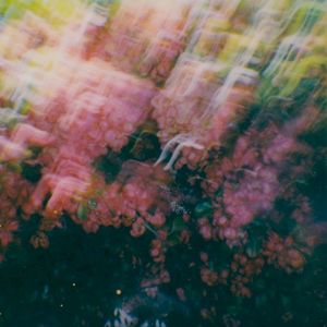 Willow (Single)