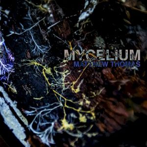 mycelium (EP)