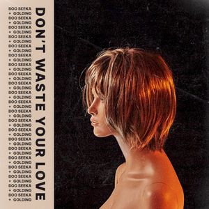 Don’t Waste Your Love (Single)