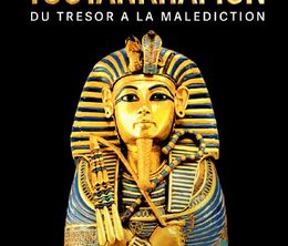 image-https://media.senscritique.com/media/000021421224/0/toutankhamon_du_tresor_a_la_malediction.jpg