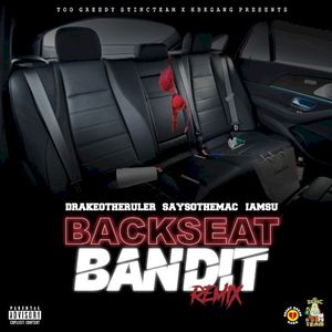 Backseat Bandit (remix)