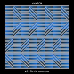 AVIATION (SARE Electro House Remix)