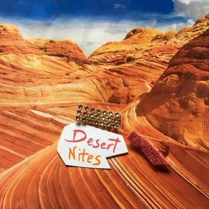 Desert Nites (Single)