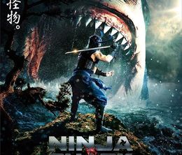 image-https://media.senscritique.com/media/000021422638/0/ninja_vs_shark.jpg