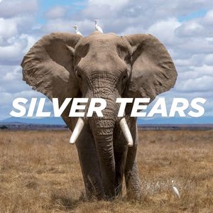 Silver Tears (Monty Luke remix)