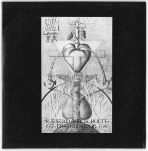 In Girum Imus Nocte Et Consumimur Igni