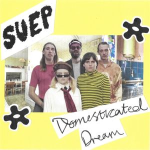 Domesticated Dream (Single)