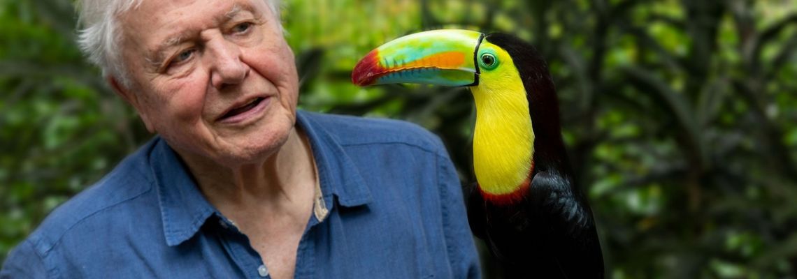 Cover La Vie en couleurs avec David Attenborough