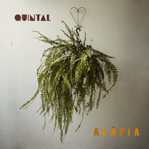 Quintal (Single)