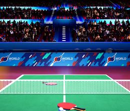 image-https://media.senscritique.com/media/000021428862/0/vr_ping_pong_pro.jpg