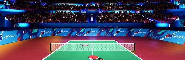 VR Ping Pong Pro