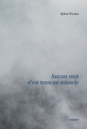 Aucun mot n'est tenu au miracle