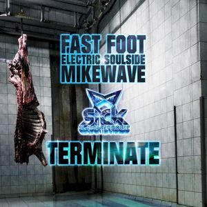 Terminate (Single)