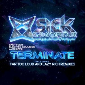 Terminate (remixes)