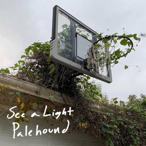 See a Light (Single)