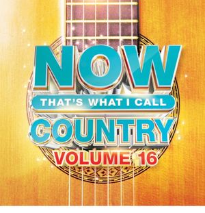 Now That's What I Call Country, Volume 16