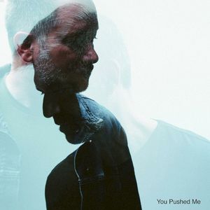 You Pushed Me (Single)