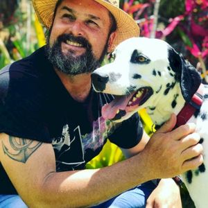 Quando a Vida Voltar (Single)