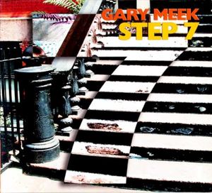 Step 7