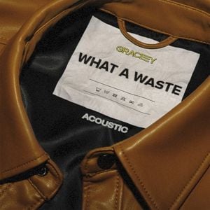 What a Waste (acoustic) (Single)