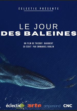 La Méditerranée révélée : le jour des baleines