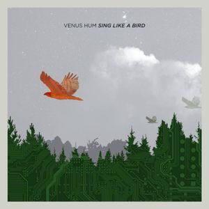 Sing Like A Bird (Single)