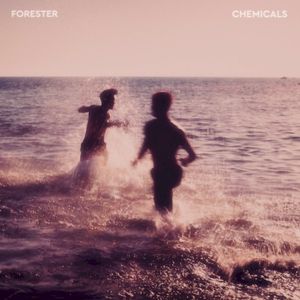 Chemicals (Single)