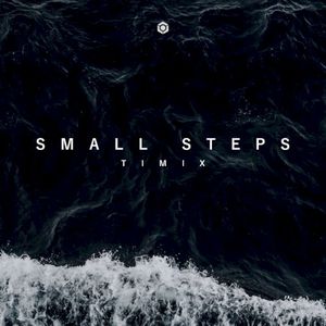 Small Steps (Single)