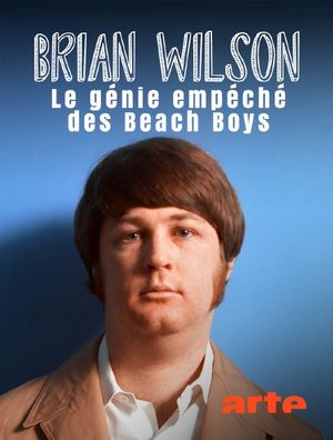 Brian Wilson - Le génie empêché des Beach Boys