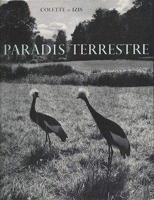 Paradis Terrestre