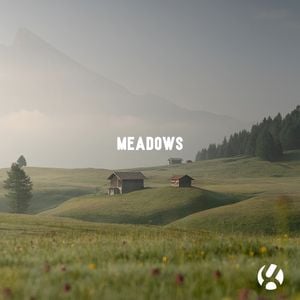 Meadows (Single)