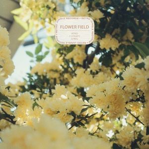 Flower Field (Single)