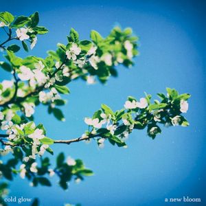 A New Bloom (Single)