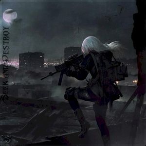Seek and Destroy (Single)