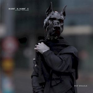 Check Your Spam Folder (Single)