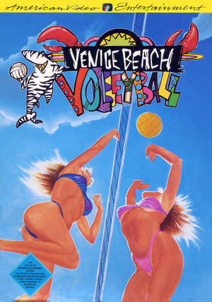 Venice Beach Volleyball