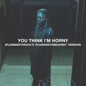 You Think I’m Horny (Planningtorock’s ’Planningtobehorny’ version)