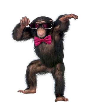The Monkey Dance