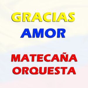 Gracias amor (Single)