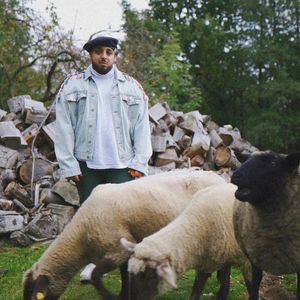 Dumm (Single)
