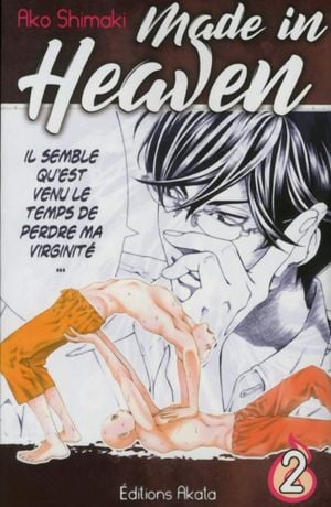 Made in Heaven, tome 2