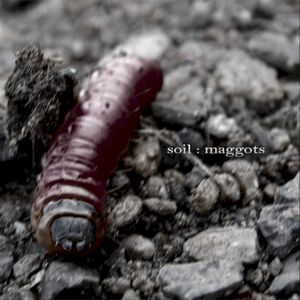 Maggots (Single)