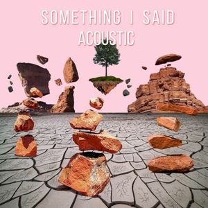 Something I Said (Acoustic) (Single)