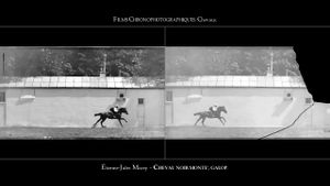 Film chronophotographique Chevaux (1890-1899)