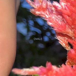 Ovale