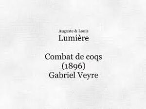 Combat de coqs