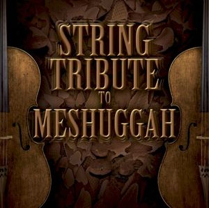 String Tribute to Meshuggah