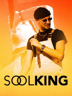 Soolking au Zénith