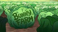 Bunny Farm