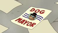 Dog Mayor